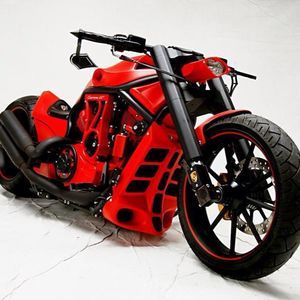 Meet your Posher, Joey